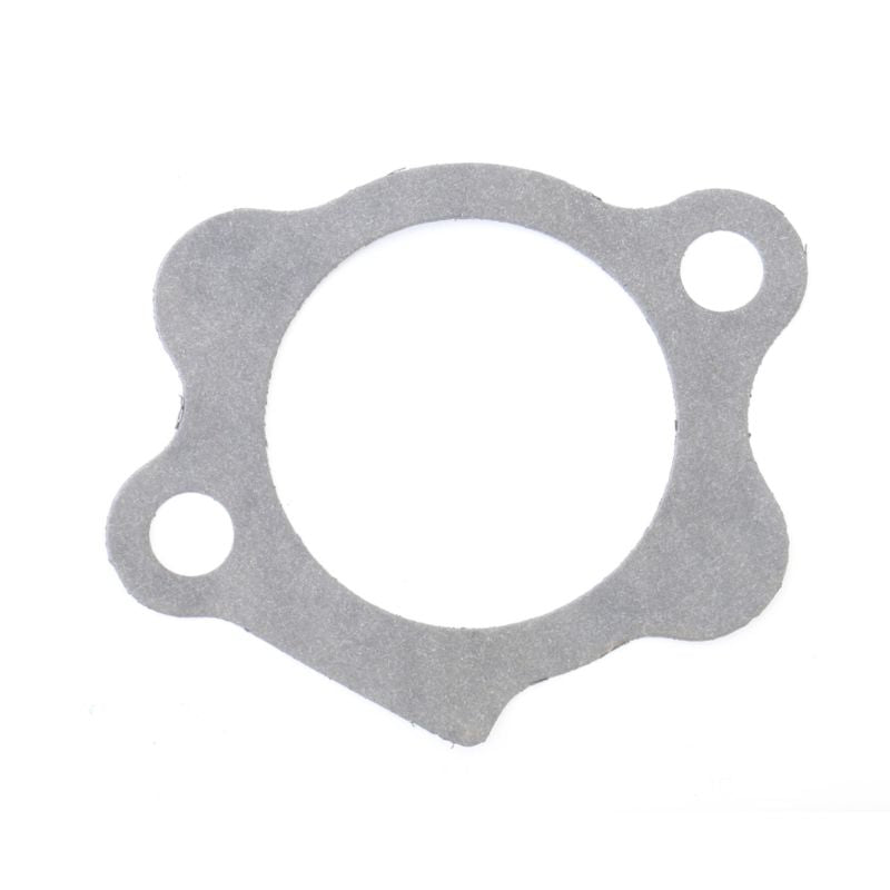 Athena Harley-Davidson Sportsters Starter Mount Gasket - Set of 10