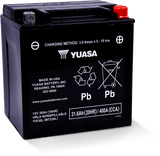 Yuasa YIX30L Maintenance Free AGM 12 Volt Battery