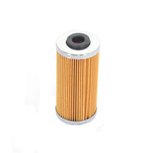 Load image into Gallery viewer, Athena 09-10 BMW G 450 X 450 Oil Filter