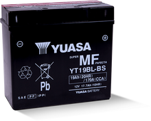 Load image into Gallery viewer, Yuasa YT19BL-BS Maintenance Free AGM 12 Volt Battery (Bottle Supplied)