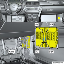 Load image into Gallery viewer, FEM/BDC Cloning - Image 3