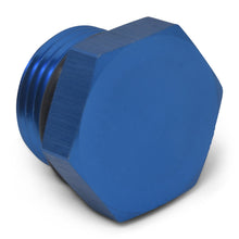 Load image into Gallery viewer, Russell Performance -6 AN Straight Thread Plug (Blue)